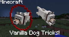 Dog Tricks Command Block
